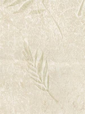 Studio Vue Palm Fresco (Cream) Wallpaper - TPF10191