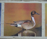 Brewster Ducks Wallpaper Border - 93776FP