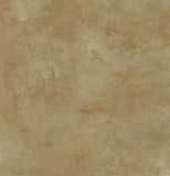 Coventry Park Camel Colored Faux Wallpaper - VN60603