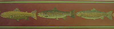 York Fish Wallpaper Border - HU6254B