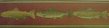 York Fish Wallpaper Border - HU6254B
