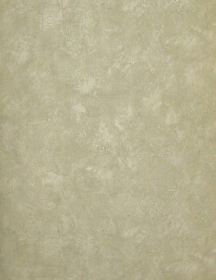 Parkview Designs Sage Green Smeared Plaster Design Wallpaper - 36515