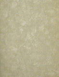 Parkview Designs Sage Green Smeared Plaster Design Wallpaper - 36515