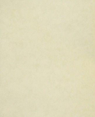 Encore Light Lime Green Faux Wallpaper - B6832
