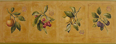 York Honey Gold Fruit Wallpaper Border - DB3780B