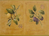 York Honey Gold Fruit Wallpaper Border - DB3780B