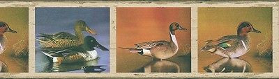 Brewster Ducks Wallpaper Border - 93776FP