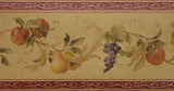 Seabrook Acanthus Fruit & Leaf Scroll Wallpaper Border - A653978B