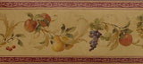 Seabrook Acanthus Fruit & Leaf Scroll Wallpaper Border - A653978B
