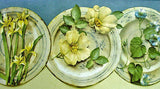 York Plates with Flowers Wallpaper Border - FR4900B