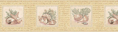 Brewster Sea Shell Wallpaper Border - FDB07134