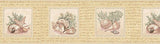 Brewster Sea Shell Wallpaper Border - FDB07134