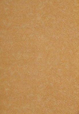 Warner Burnt Orange Smeared Plaster Look Wallpaper - ENC.4087