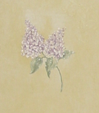 Parkview Designs Stem Floral Trail Hydrangea, Rose Wallpaper - 35055