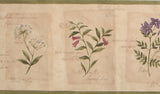 CORNERSTONE, ITALIAN, FLORIAL WALLPAPER BORDER - 3578986