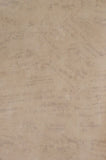 S.A. Maxwell Musical Notes Wallpaper - 7245-904