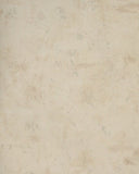 Beacon House Cream, Green, Brown Faux Wallpaper - 85-64311