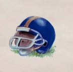 Chesapeak Sports Wallpaper - BF3507-2