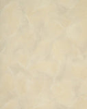 Warner Cream & Grey Marble Faux Textured Wallpaper - ENC.4016