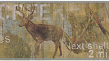 Brewster Lodge Creek Wallpaper Border - EX80967