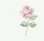 Brewster White, Blue, Green, Pink Rose, Hydrangea, Toile Wallpaper - FD45764