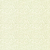 Brewster Green Fern wallpaper - FD59644
