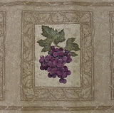 Designer Fruit Wallpaper Border - 92901FP