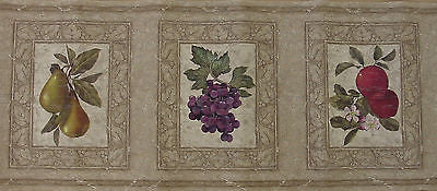Designer Fruit Wallpaper Border - 92901FP