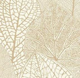 York Wallcoverings Ronald Redding Designs Masterworks Seasons Wallpaper - SD3746