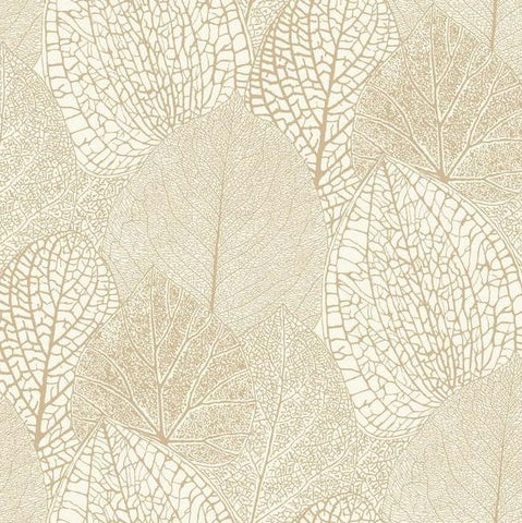 York Wallcoverings Ronald Redding Designs Masterworks Seasons Wallpaper - SD3746