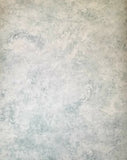 Warner faux Robin Egg Blue w/Medallion wallpaper - SYL8217