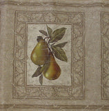 Designer Fruit Wallpaper Border - 92901FP