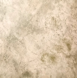 Warner Green, Cream Faux Wallpaper - TS209551