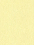 York Casual Colors Light Yellow Textured Wallpaper - TS8892