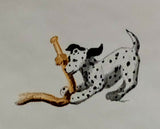 Carey Lind Dalmatian Puppy Wallpaper - TY7673