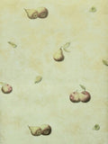 Linden Street Gallery Pear wallpaper - YR9429