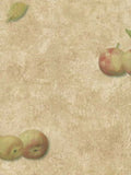 Linden Street Gallery Brown Faux w/ Apples & Pears Wallpaper - YR9428