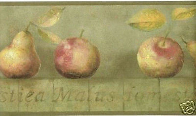 York Green Faux w/ Pears & Apples Wallpaper Border - YR9424B