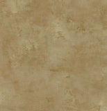 Coventry Park Camel Colored Faux Wallpaper - VN60603