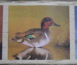 Brewster Ducks Wallpaper Border - 93776FP