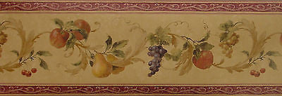 Seabrook Acanthus Fruit & Leaf Scroll Wallpaper Border - A653978B