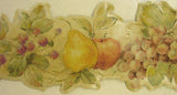 Villa Tuscana Fruit  Wallpaper Border - 57605B