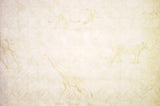 Beacon House Creamy Faux Safari Animal Silhouette Wallpaper - 80-64268
