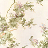 Chatham House Trailing Hibiscus with Birds Wallpaper  - 48384