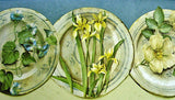 York Plates with Flowers Wallpaper Border - FR4900B