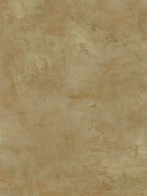 Coventry Park Camel Colored Faux Wallpaper - VN60603