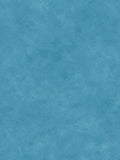 Donna Dewberry by Brewster Aqua Blue Faux Wallcovering - 240-63914