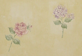 Parkview Designs Stem Floral Trail Hydrangea, Rose Wallpaper - 35055