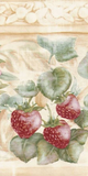 Brewster Strawberry Vine Wallpaper Border - 81B66118