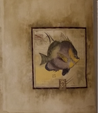 Walquest Tropical Fish picture wallpaper - CS11701